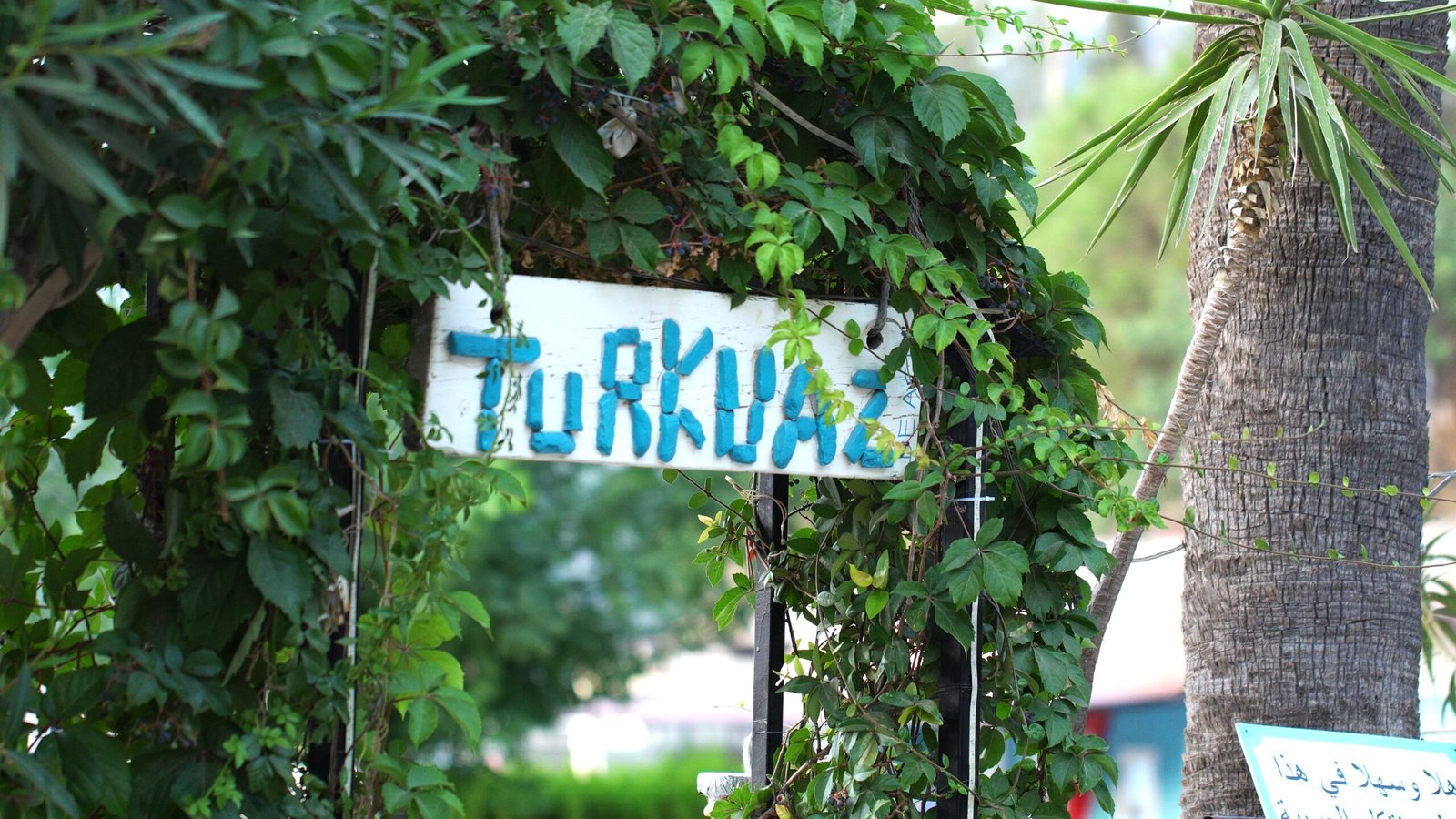turkuaz_1.119.1