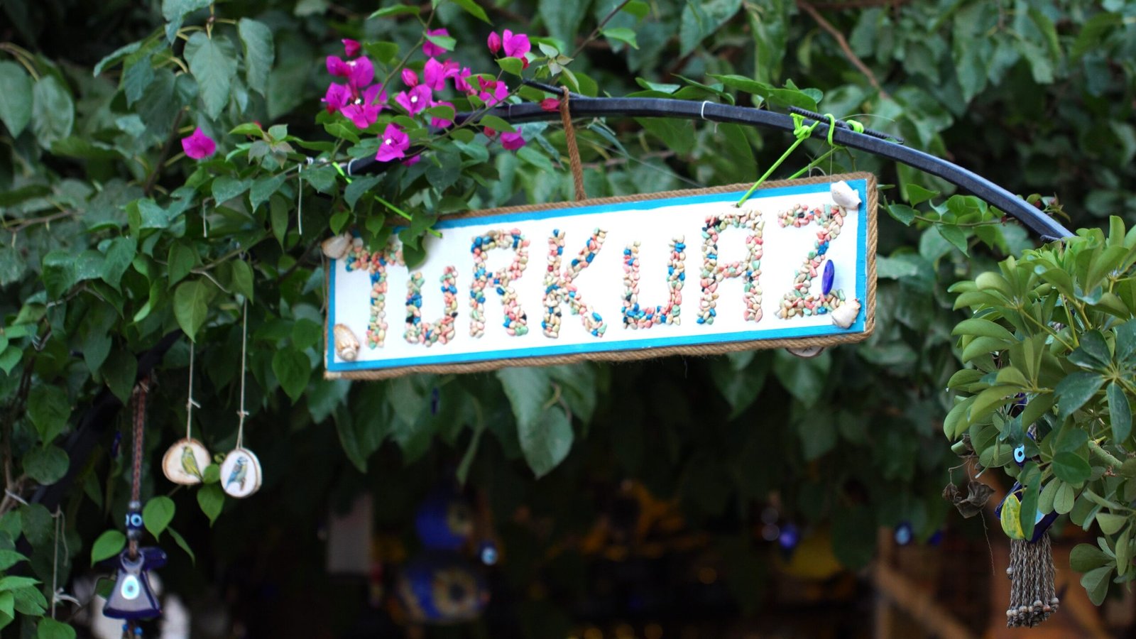turkuaz_1.125.1